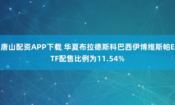 唐山配资APP下载 华夏布拉德斯科巴西伊博维斯帕ETF配售比例为11.54%