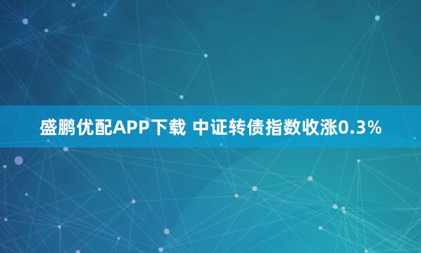 盛鹏优配APP下载 中证转债指数收涨0.3%